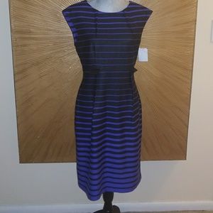 *NWT Blueberry and black Connected Apparel dress